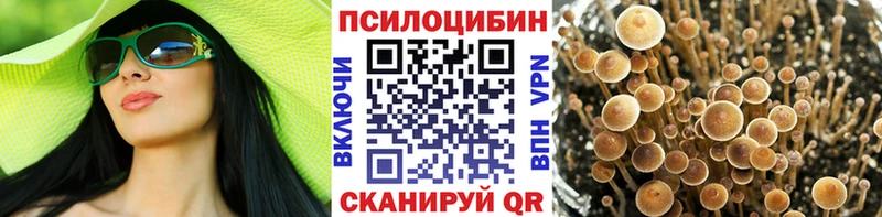 Псилоцибиновые грибы прущие грибы  Шлиссельбург 