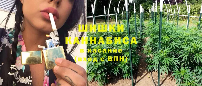 Конопля White Widow  купить закладку  Шлиссельбург 